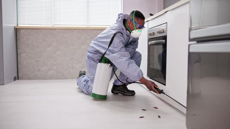 Best Pest Exclusion Services  in Big Bear City, CA